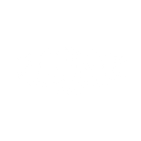 PLUGZ